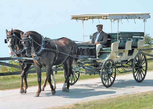 Mackinac Island Carriage Tours