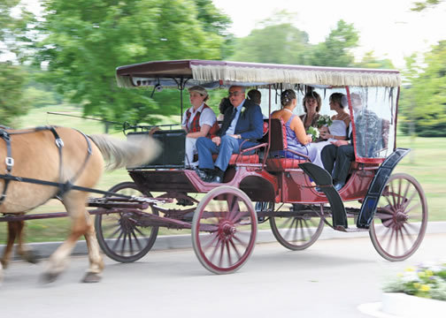 Mackinac Island Carriage Tours