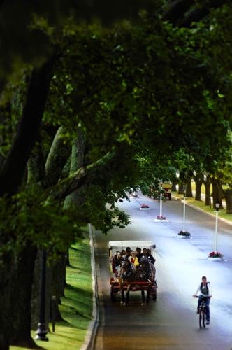 Mackinac Island Carriage Tours