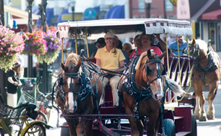 Mackinac Island Carriage Tours