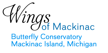 Mackinac Island Carriage Tours